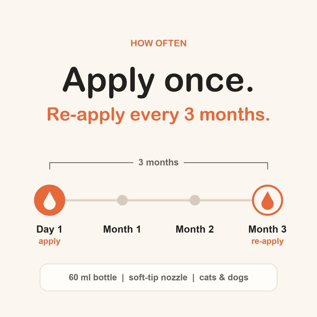 Apply once, re-apply every 3 months