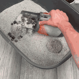 Scooping clumps straight into the built-in bag, then lifting it out