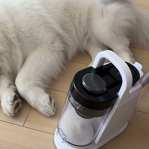 Brushing a dog while the vacuum pulls the fur into the cup