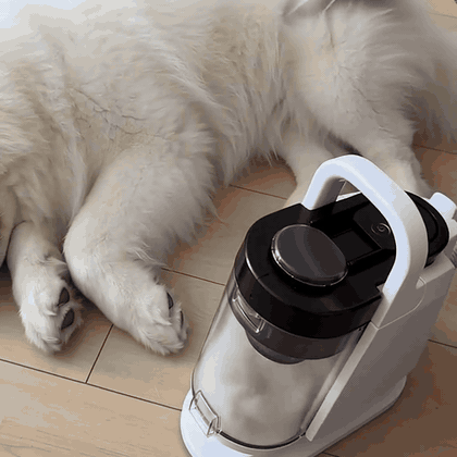 Brush, then empty the cup