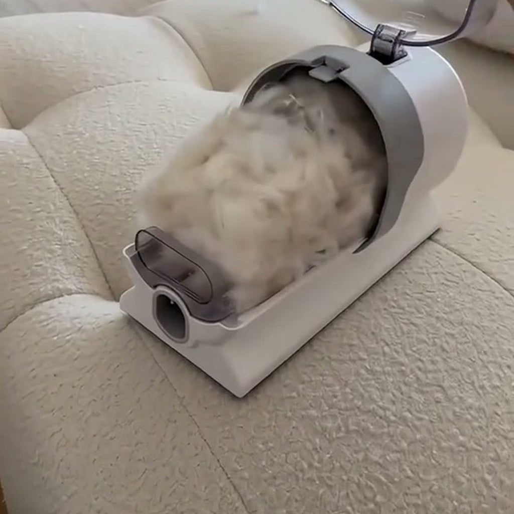 Pulling the collected fur out of the cup