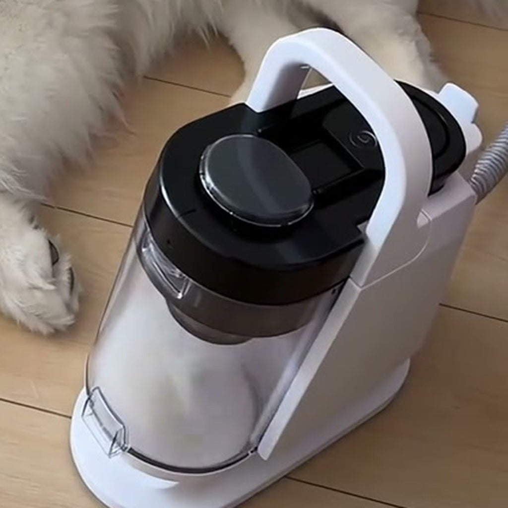 The grooming vacuum next to a dog, cup filling with fur