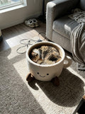 Cat curled up asleep inside the Purrfect Cup Bed in a sunlit living room
