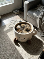 Cat curled up asleep inside the Purrfect Cup Bed in a sunlit living room