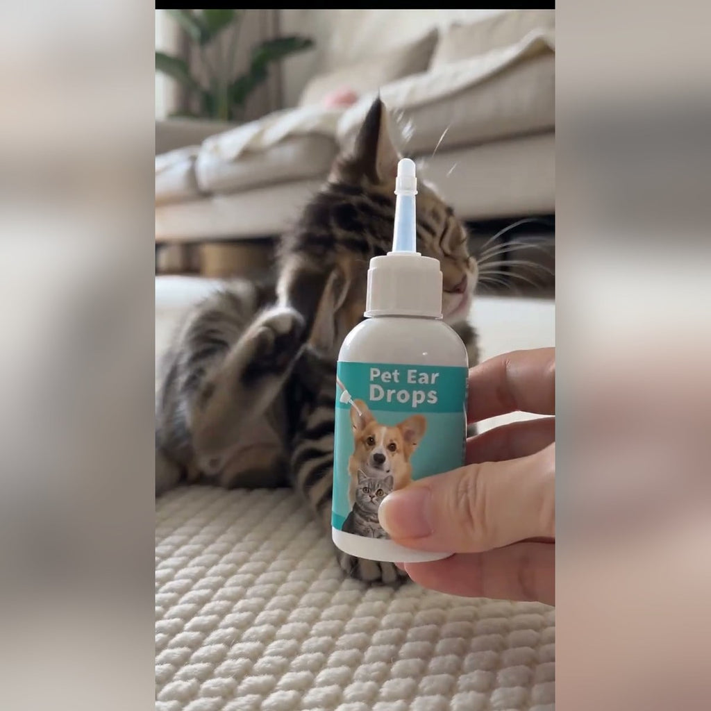 Pet ear drops bottle with a kitten