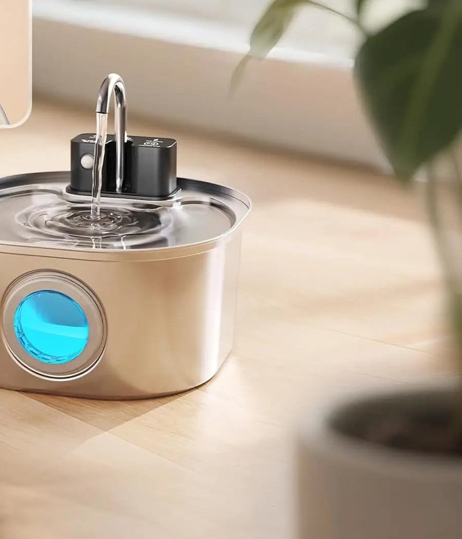 cordless cat fountain by the window