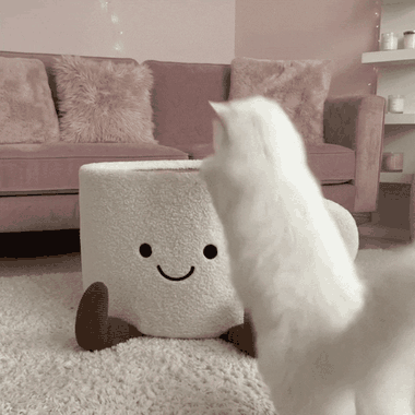 Cat climbing into the Purrfect Cup Bed